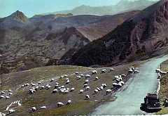 64 Col de l Aubisque III